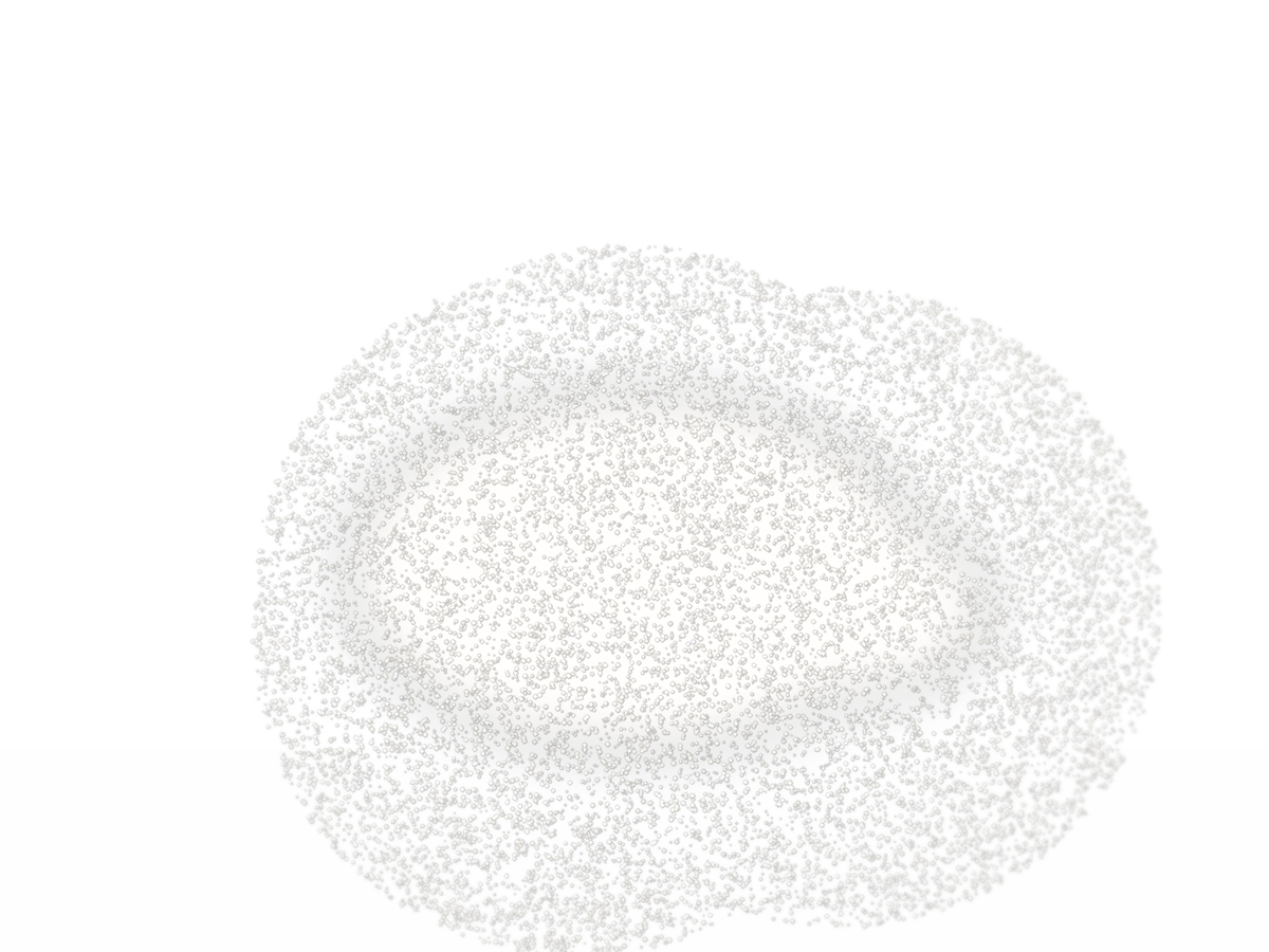 Garlic Extract powder, fssc22000 certificated Garlic Extract powder, fssc22000 certificated